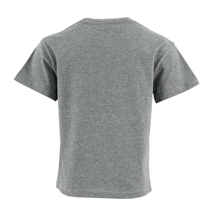Charcoal Mist