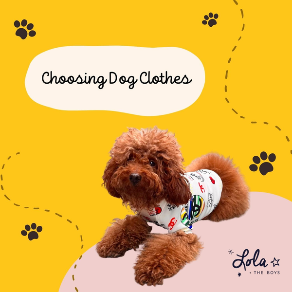 Helpful Tips For Choosing Dog Clothes Pet Fashion Ideas