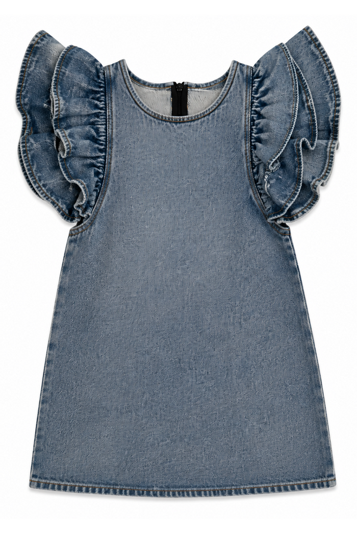 Denim Ruffle Dress