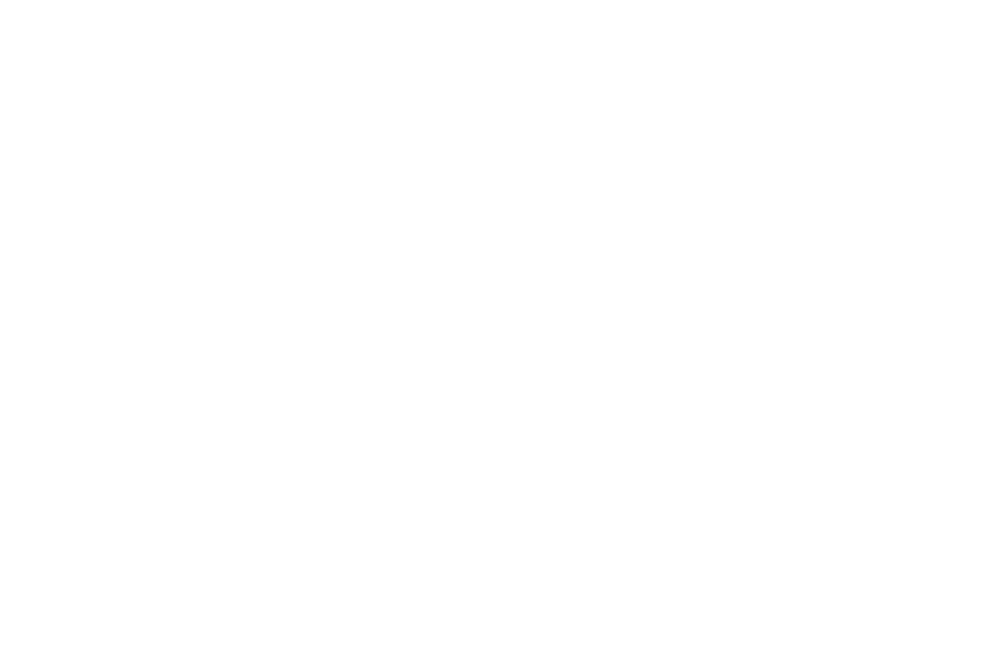 Lola + The Boys