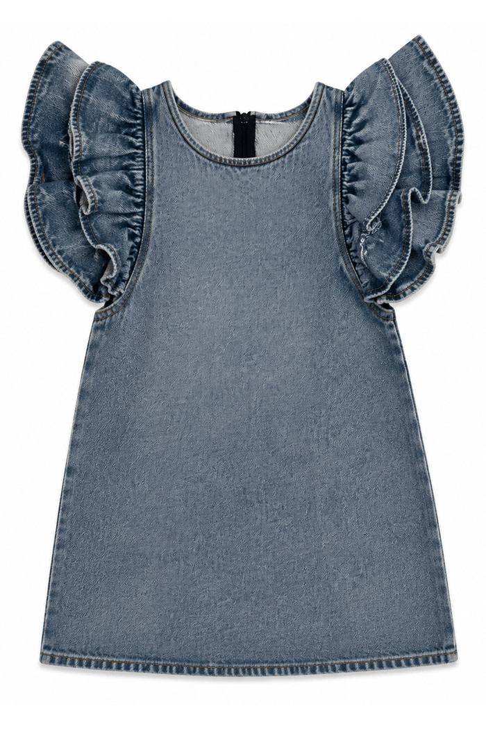 exclude-fall Dress Denim Ruffle Dress