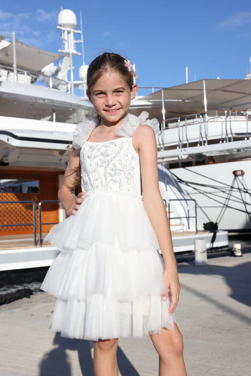 Lola + The Boys Dress 2 Snow Beaded Tulle Shimmer Dress