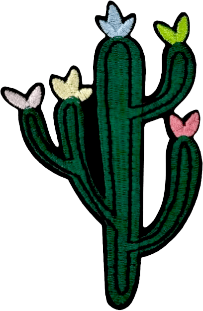 exclude-patch patch Cactus