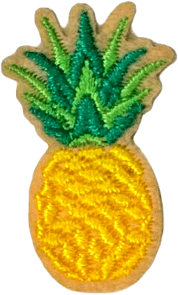 exclude-patch patch Pineapple