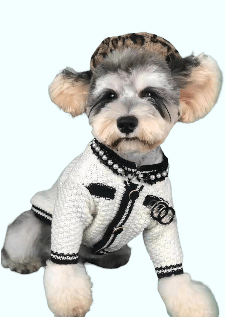 Coco Black Tweed Duffel Dog Carrier