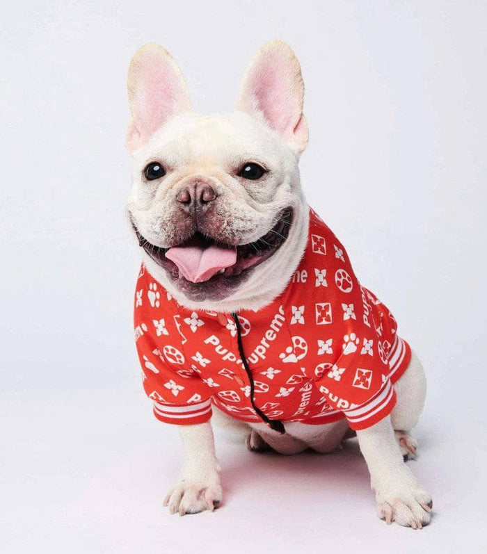 Lola + The Boys Doggie Pupreme Doggie Bomber