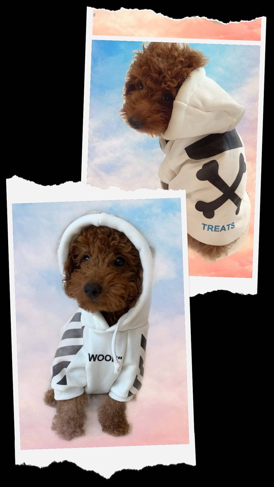“Woof “ Doggie Hoodie Lola and the Boys