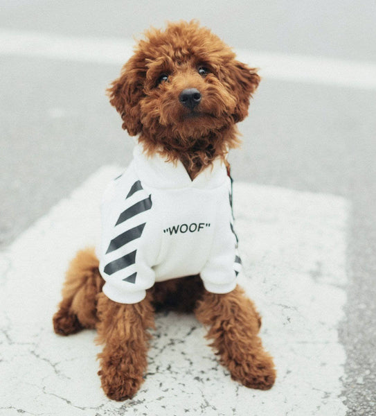 Woof “ Doggie Hoodie | Lola and the Boys