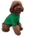 Lola + The Boys Fashionista Pup emerald hoodie